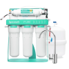 Ecosoft P'URE AquaCalcium reverse osmosis filter with a pump